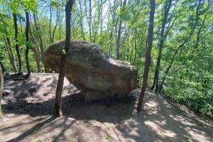 Read more about the article Enigma de la Tronul Străbunilor