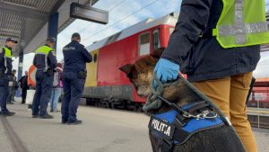 Read more about the article Doi pakistanezi, depistaţi în tren la Simeria, bănuiţi de trecere frauduloasă a frontierei de stat