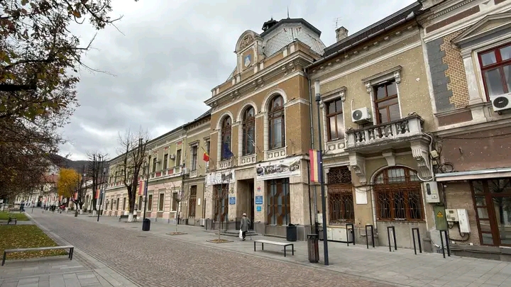 Read more about the article Ședință ordinară a Consiliului Local Deva