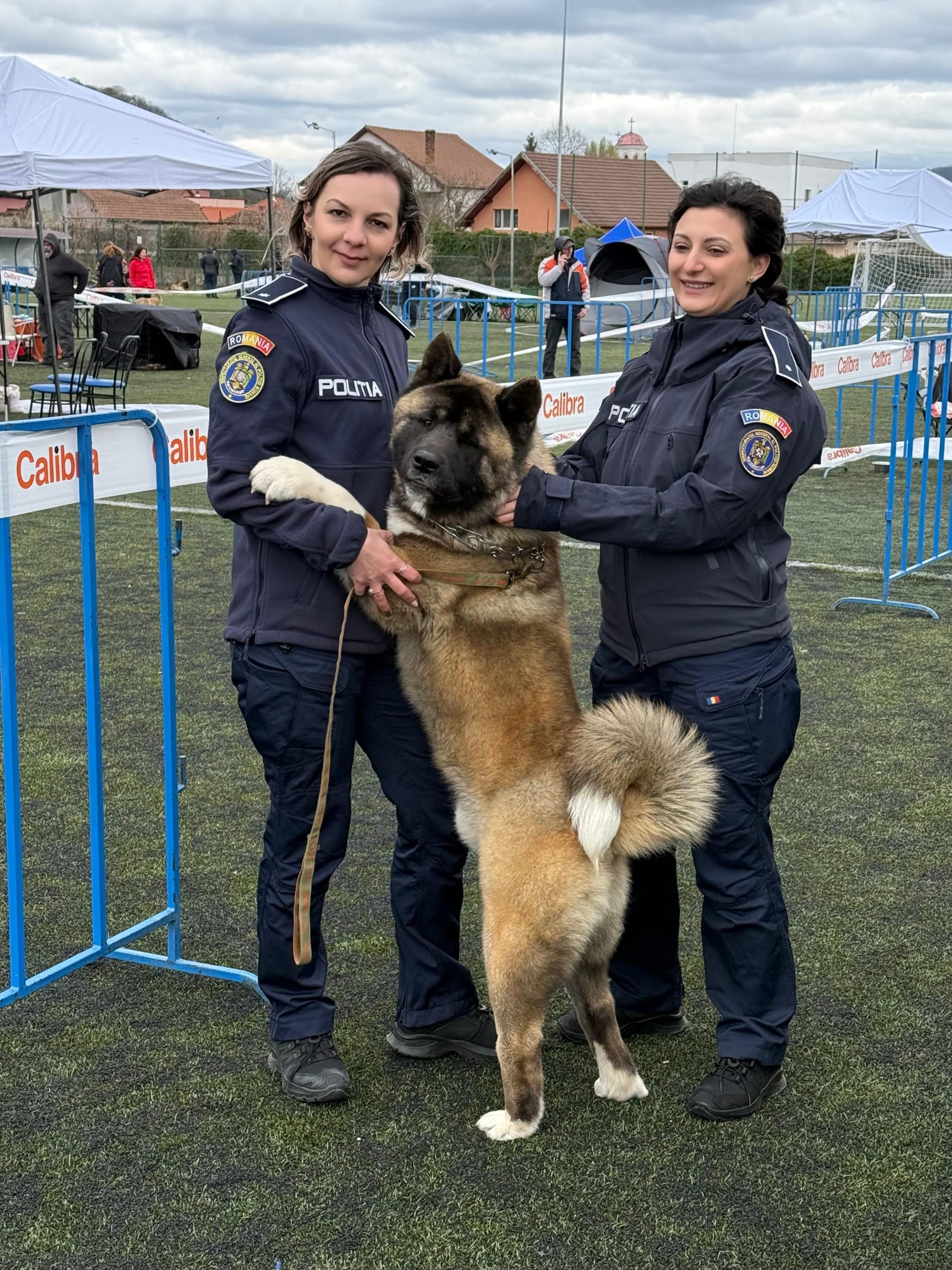 Read more about the article Polițiștii hunedoreni au verificat respectarea legislației la Expoziția Chinologică de la Deva