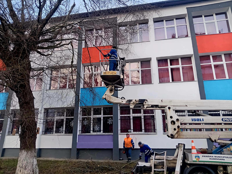 Read more about the article Toaletările de copaci în municipiul Hunedoara se opresc