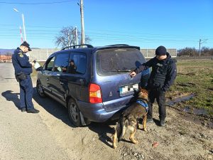 Read more about the article Acţiuni pentru siguranţa transportului feroviar, desfăşurată în judeţul Hunedoara
