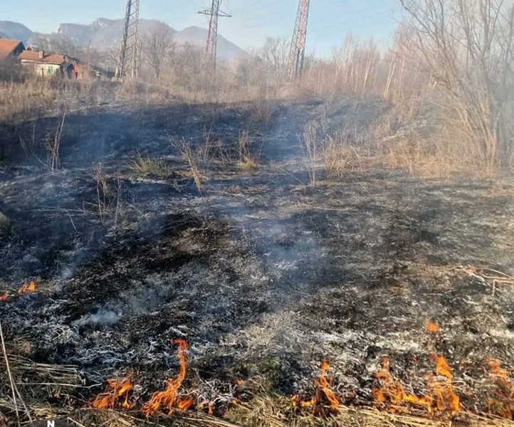 Read more about the article APIA Hunedoara avertizează: arderea miriștilor și a vegetației pajiștilor permanente este strict interzisă