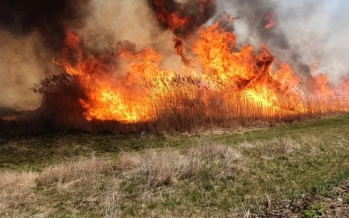 Read more about the article 16 incendii de vegetație uscată în ultimele 24 de ore în județul Hunedoara
