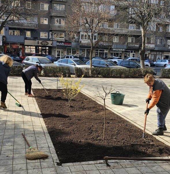Read more about the article Un municipiu mai verde: Primăria Deva și SPÎGM plantează arbori în toate cartierele