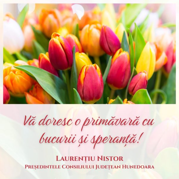 Read more about the article Laurenţiu Nistor, Preşedintele CJ Hunedoara: Urare de 1 Martie