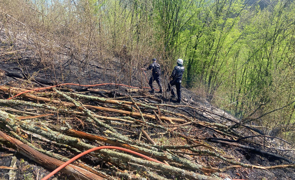 Read more about the article Bilanţ al pompierilor hunedoreni: 248 de misiuni în primele 4 zile ale săptămânii