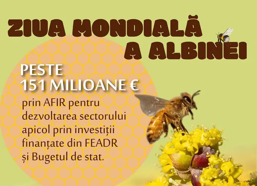 Read more about the article Sectorul apicol din România: investiții de peste 151 milioane de euro prin fonduri AFIR pentru modernizare și dezvoltare durabilă
