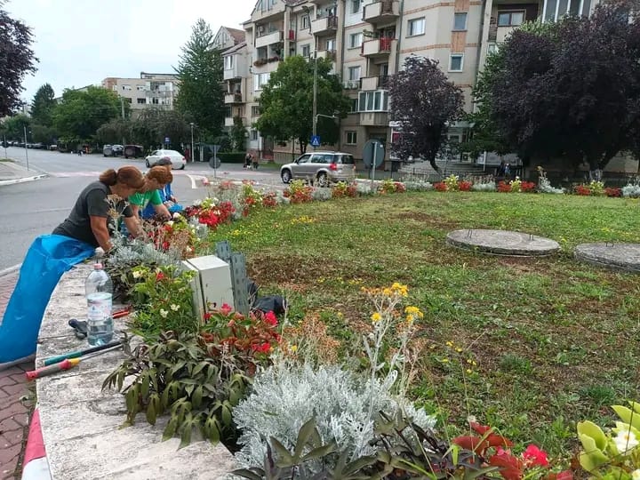 Read more about the article SPÎGM Deva continuă lucrările de întreținere în municipiu. Intervenții în spațiile verzi, locurile de joacă și Piața Arras