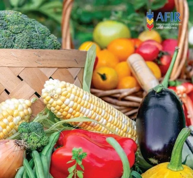 Read more about the article Condițiile accesării fondurilor pentru investiții în ferme mici au fost publicate pe site AFIR