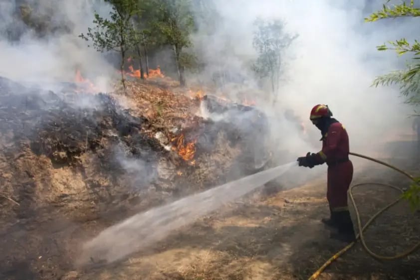 Read more about the article Polițiștii hunedoreni, în teren pentru prevenirea incendiilor de vegetație