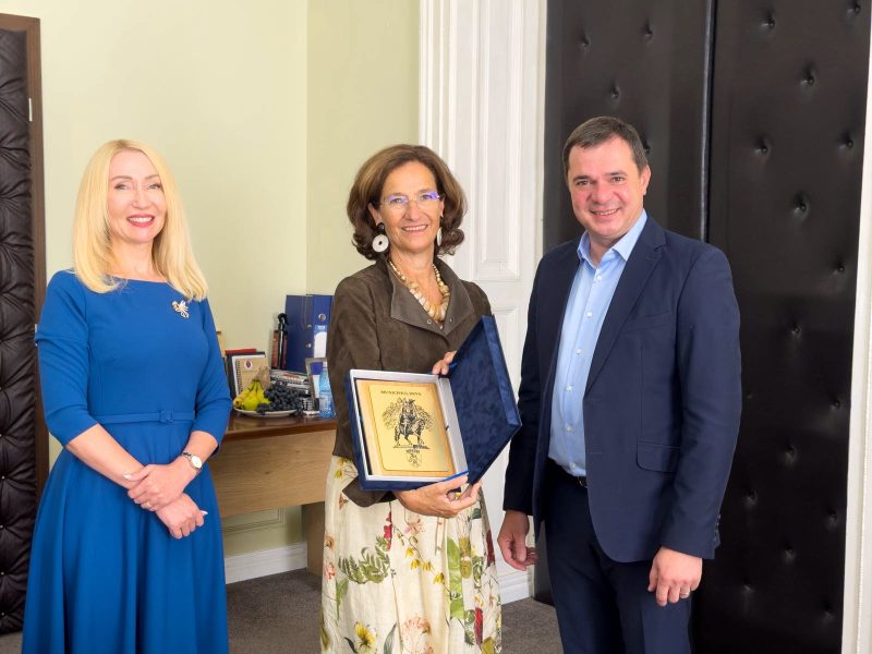Read more about the article Municipiul Deva consolidează dialogul și oportunitățile de colaborare cu Republica Austria